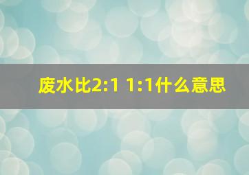 废水比2:1 1:1什么意思